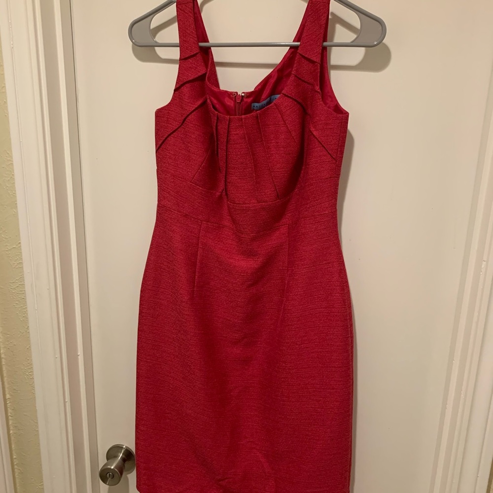 Antonio Melani Pink Tank Shirt Dress